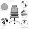 Vinsetto Ergonomiczne Krzesło Biurowe - Szare